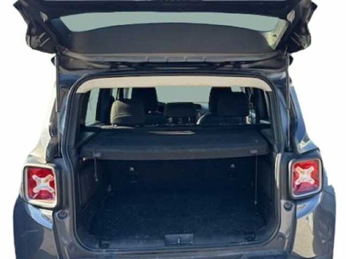 Jeep Renegade 1.6l