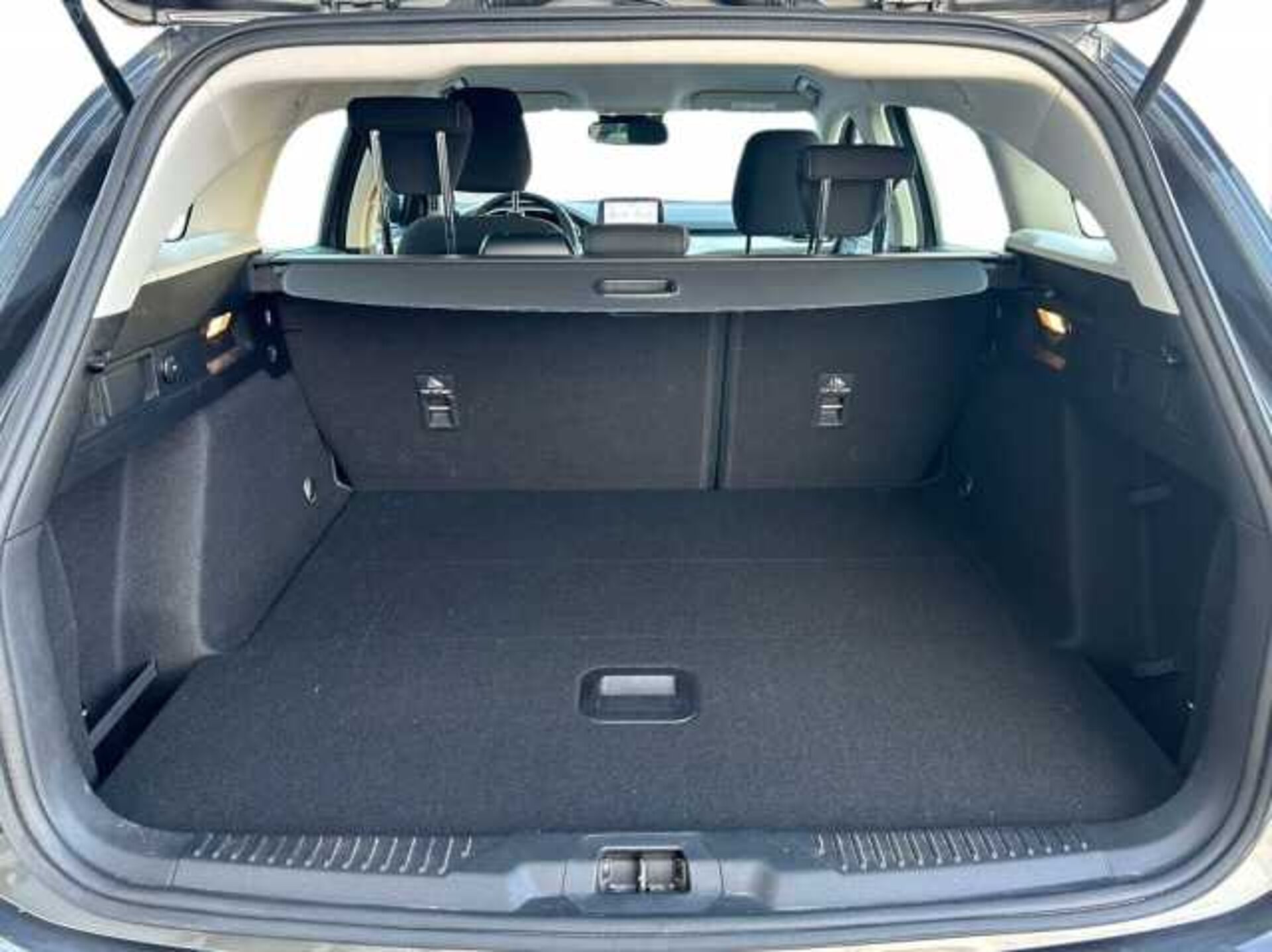 Ford Focus 1.5l - Grigio scuro