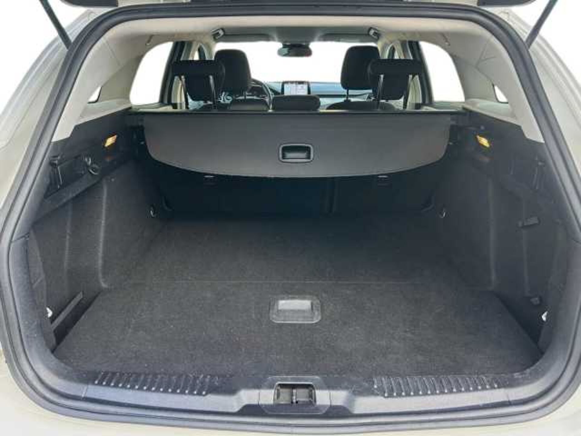 Ford Focus 1.5l - Bianco